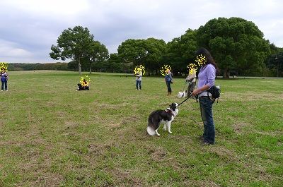 mizu13.jpg