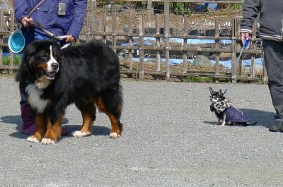 kiso23_convert_20120320093038.jpg