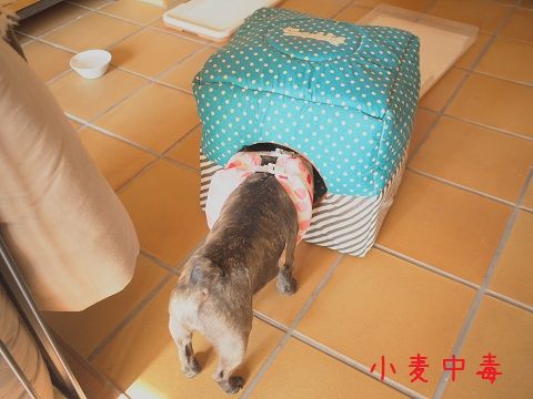 b6_2014100808390748c.jpg