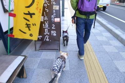 201101223.jpg