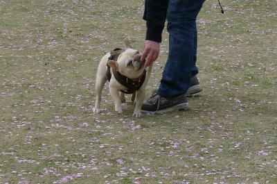 j11_convert_20120421213722.jpg