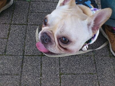 fc2blog_20120814232622f79.jpg