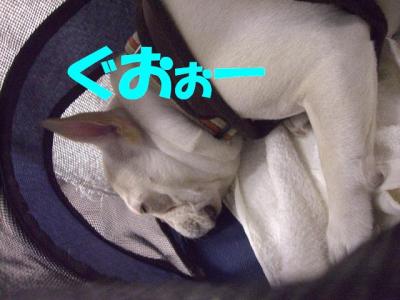 お16