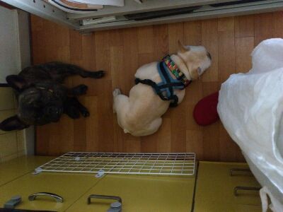 fc2blog_201208061524391a1.jpg