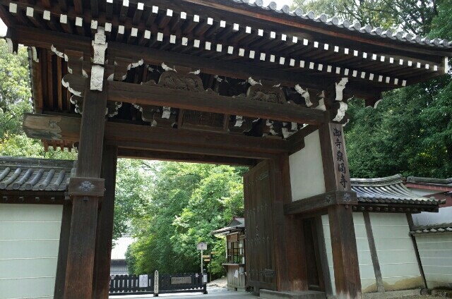 泉涌寺２