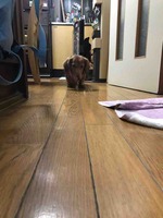 残り3m