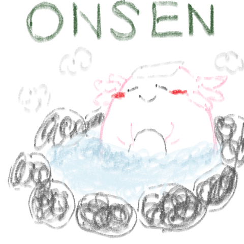 案③