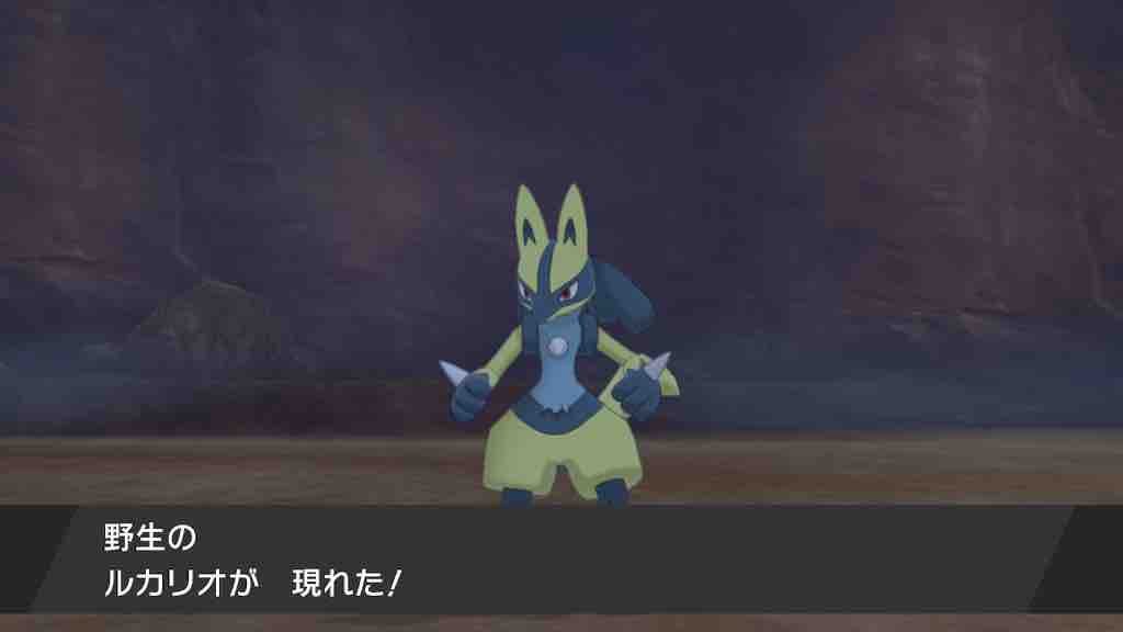 冠の雪原 空飛ぶスルメイカ