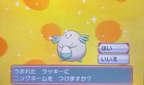 命名・はなみどり