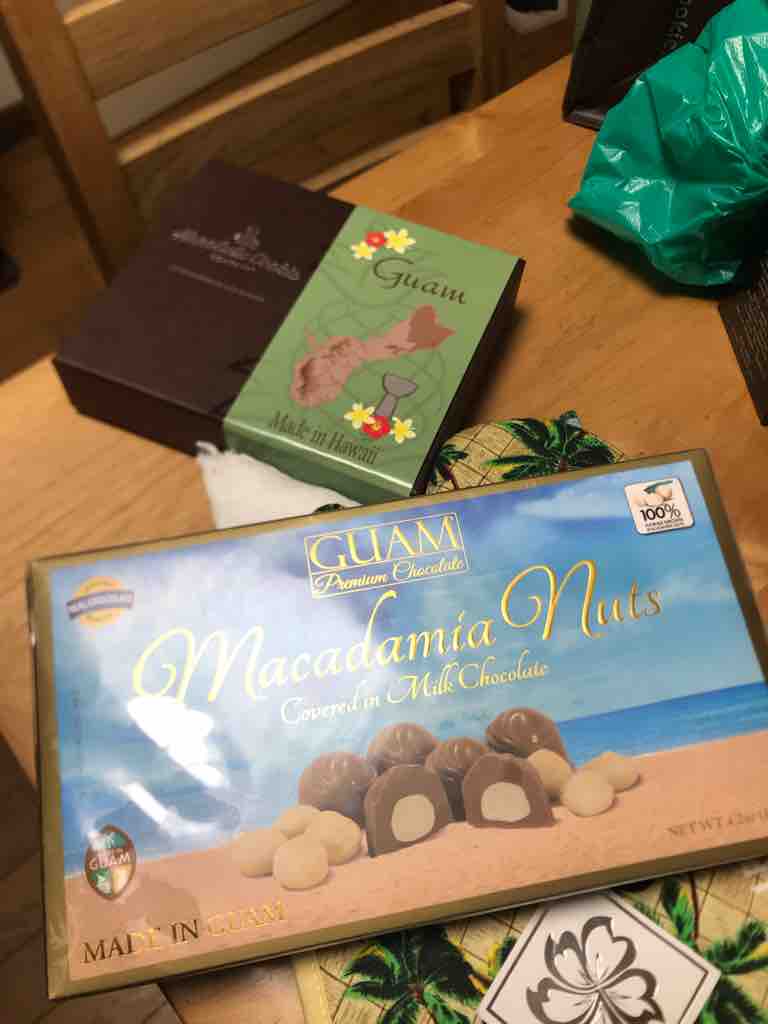 グアムから帰国 空飛ぶスルメイカ