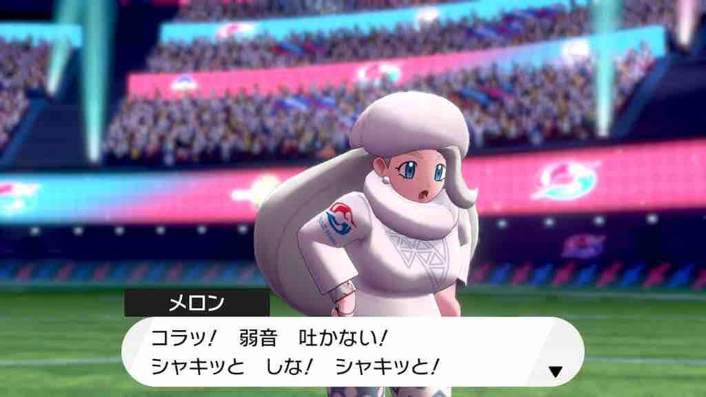 ガラルスタートーナメント 空飛ぶスルメイカ ガラルスタートーナメント 空飛ぶスルメイカ