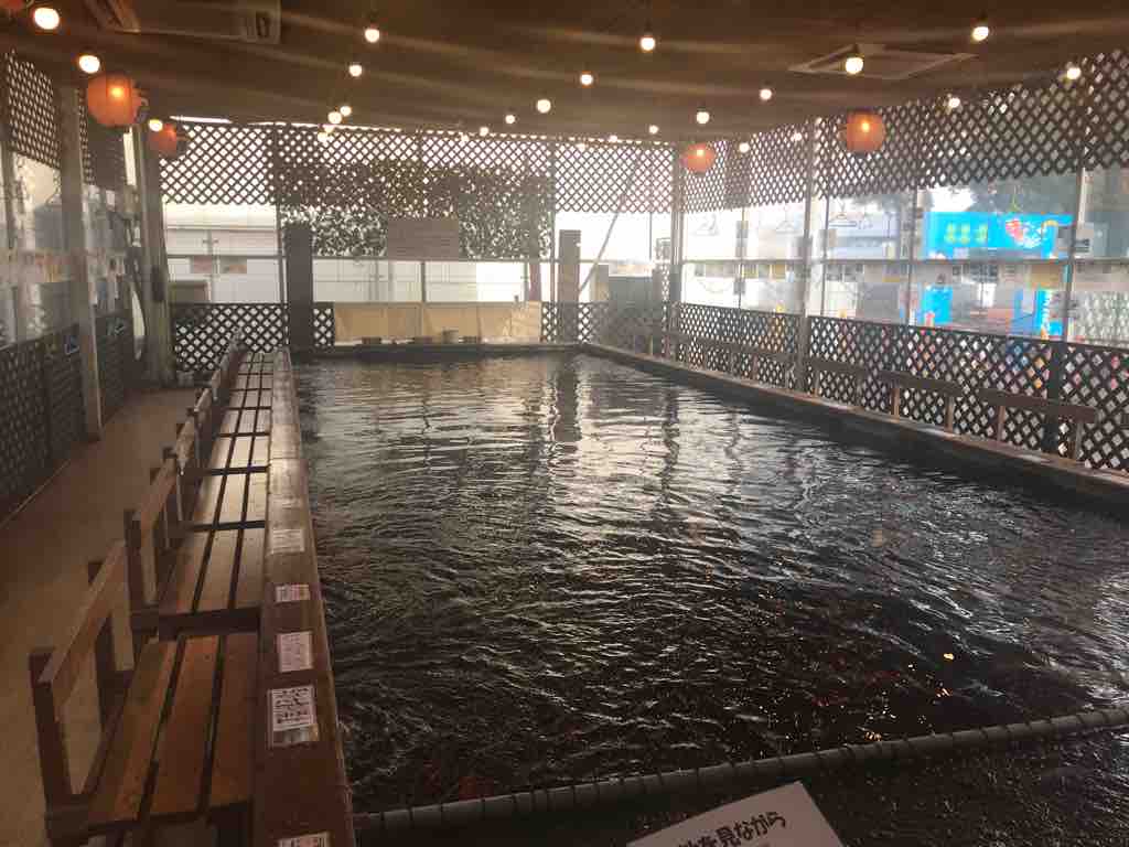 24歳 学生です 嘘 空飛ぶスルメイカ