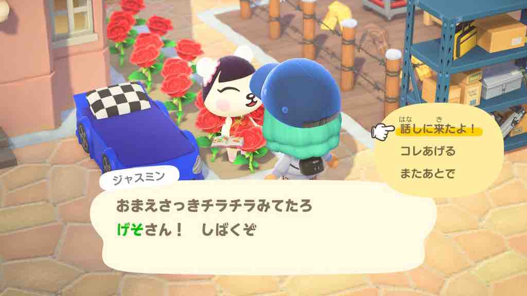 あつ森近況報告 空飛ぶスルメイカ