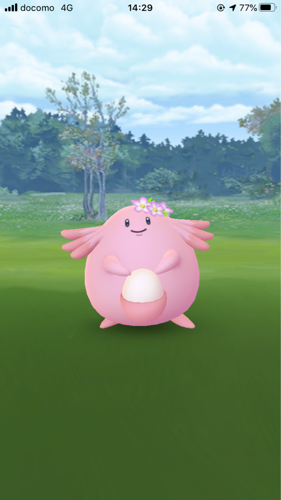 ポケモン関連 空飛ぶスルメイカ ポケモン関連 空飛ぶスルメイカ