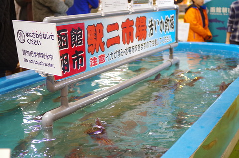 IMGP3725