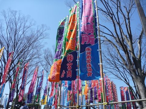 相撲 こん助の雑記 相撲 こん助の雑記