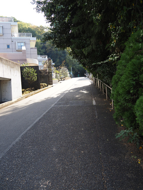 saka1