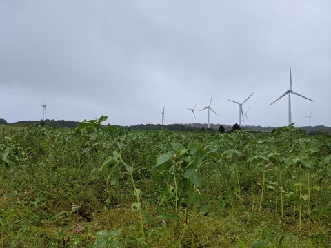 33919255.bf3d949651b0af73965c20ec8de237ba.21081002