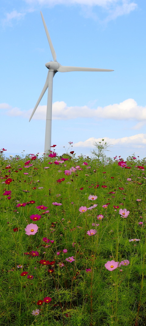 cosmos_1799×4000_fix