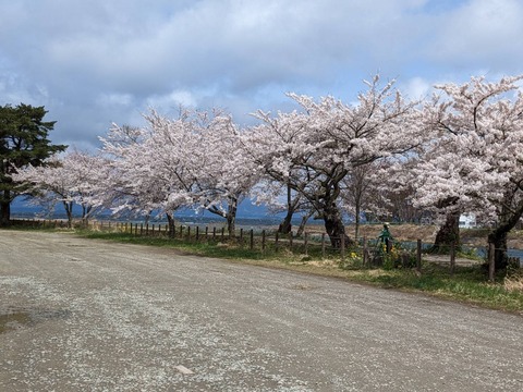 舟津公園20230417-1