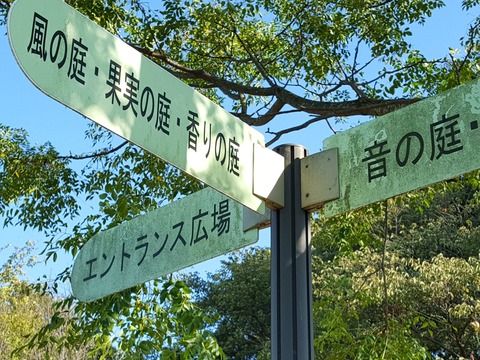 20190916_154003 (1)