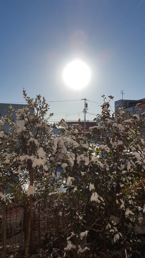 雪の朝に昇る太陽も、また圧巻である=2018年1月25日朝