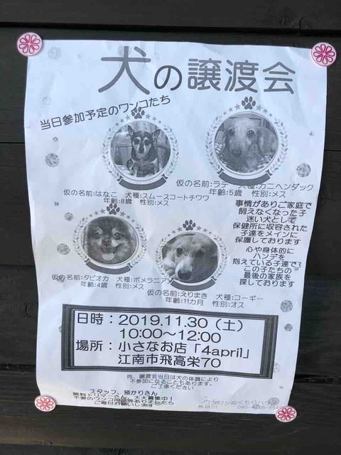 犬の譲渡会 小さなお店「4april」