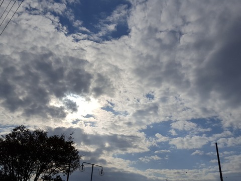 晩秋の空は、その時々によって穏やかになったり怖くなったり顔をかえる 撮影・たかのぶ