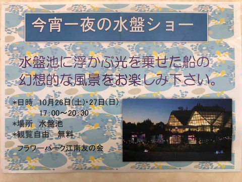 今宵一夜の水盤ショー