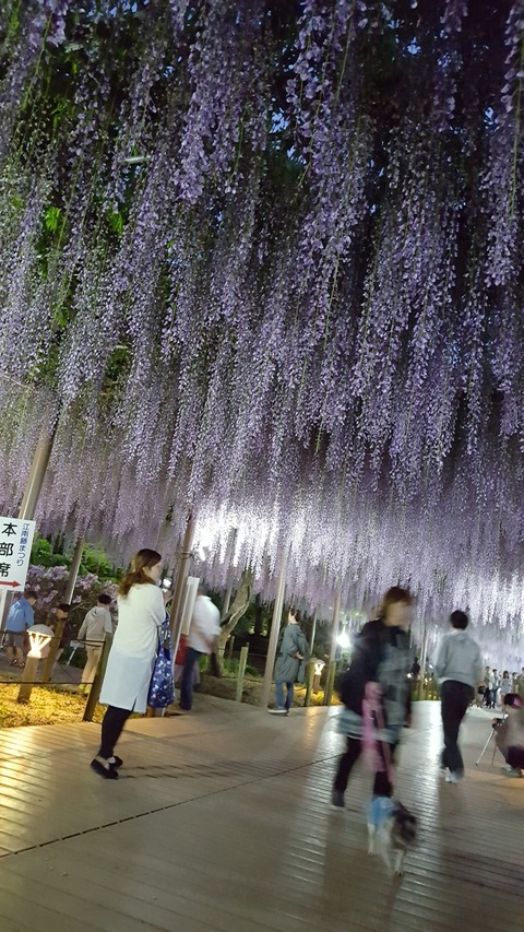 PIC0003BE