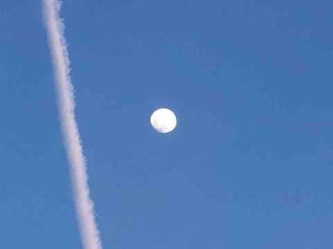 江南市上空 飛行機雲