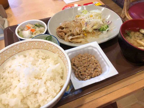 『すき家 江南大間店』豚生姜焼き朝食