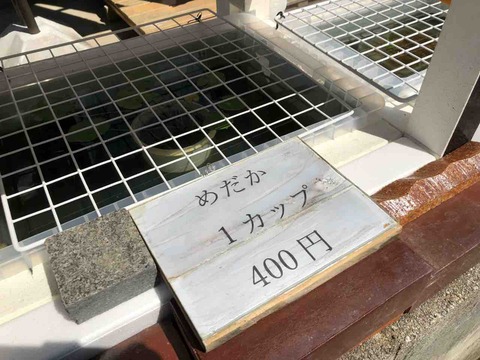 めだかのえき「めだか 1カップ 400円」