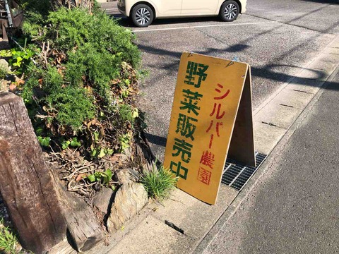 シルバー農園 野菜販売中