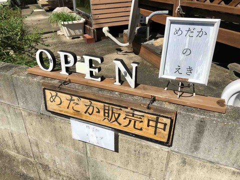 めだかのえき「OPEN」「めだか販売中」