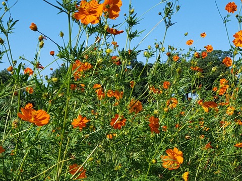 20190916_154133