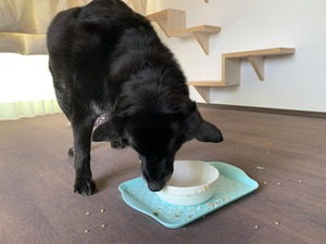 IMG_4046