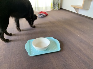 IMG_4058