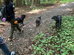 IMG_7665