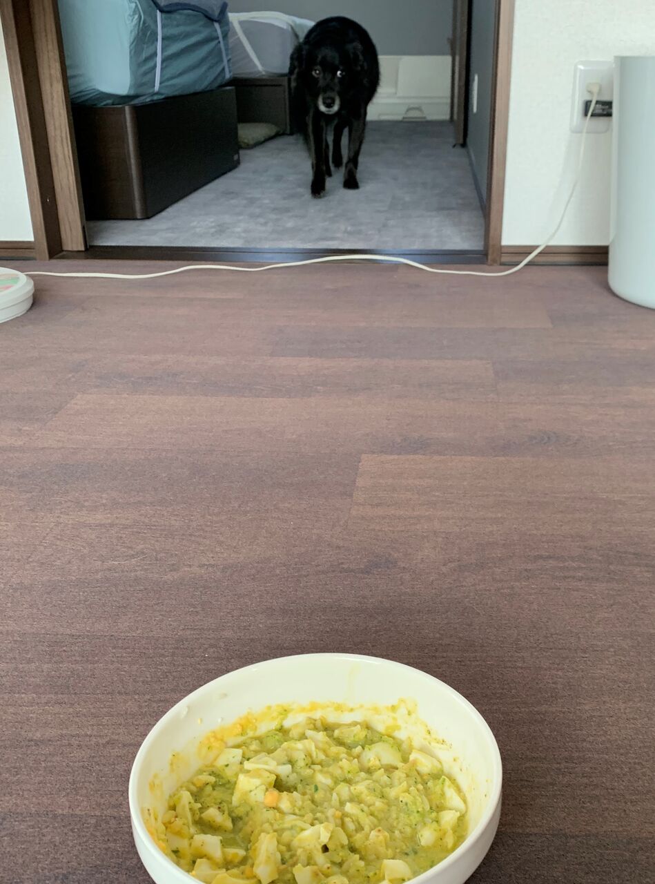 だるまさんがころんだ 毎日女子会 だるまさんがころんだ 毎日女子会