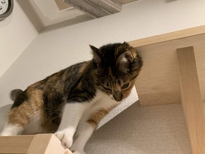 IMG_3900