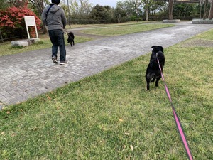 IMG_6112