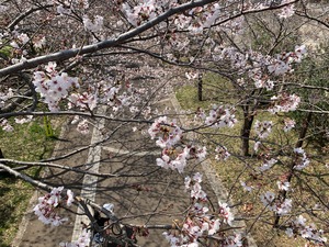 IMG_3199