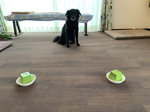 IMG_5042