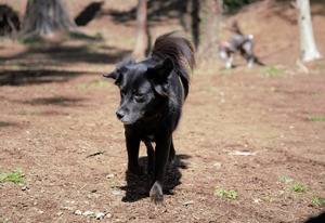 DSC_9382 (2)