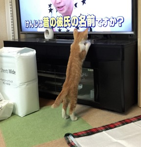 20150920_143515907_iOS (2)
