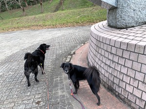 IMG_5665