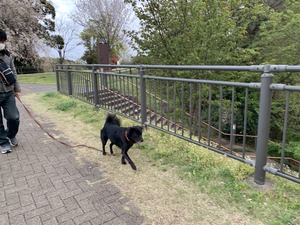 IMG_6131