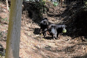 DSC_8920 (2)