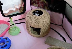 DSC_8502 (2)